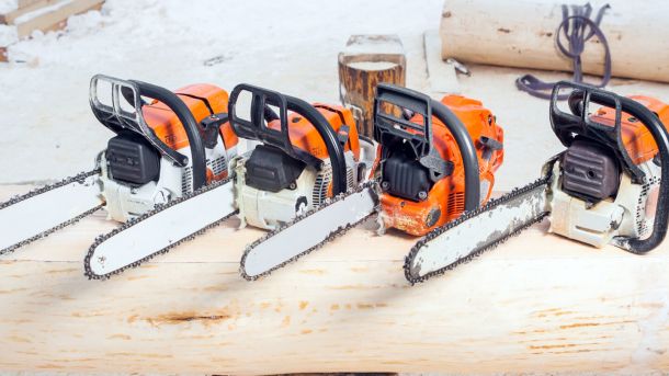 chainsaws sitting on log ba728d12